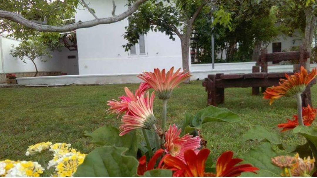Borgo Fiore Country House ซาลิเช ซาเลนติโน ภายนอก รูปภาพ